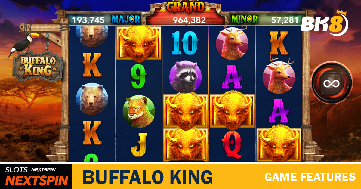 Buffalo King game overview