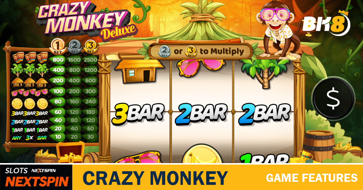 Crazy Monkey Game Features and quality