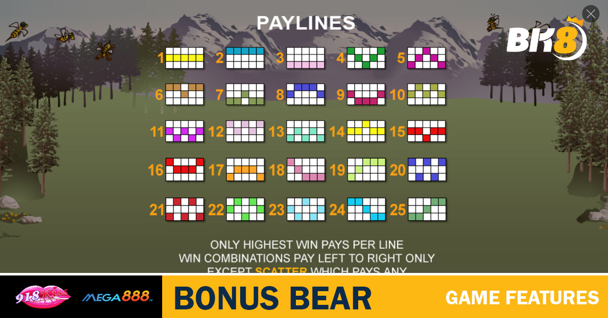 Bonus Bear Game Features