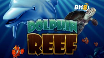 Dolphin Reef Slot Game
